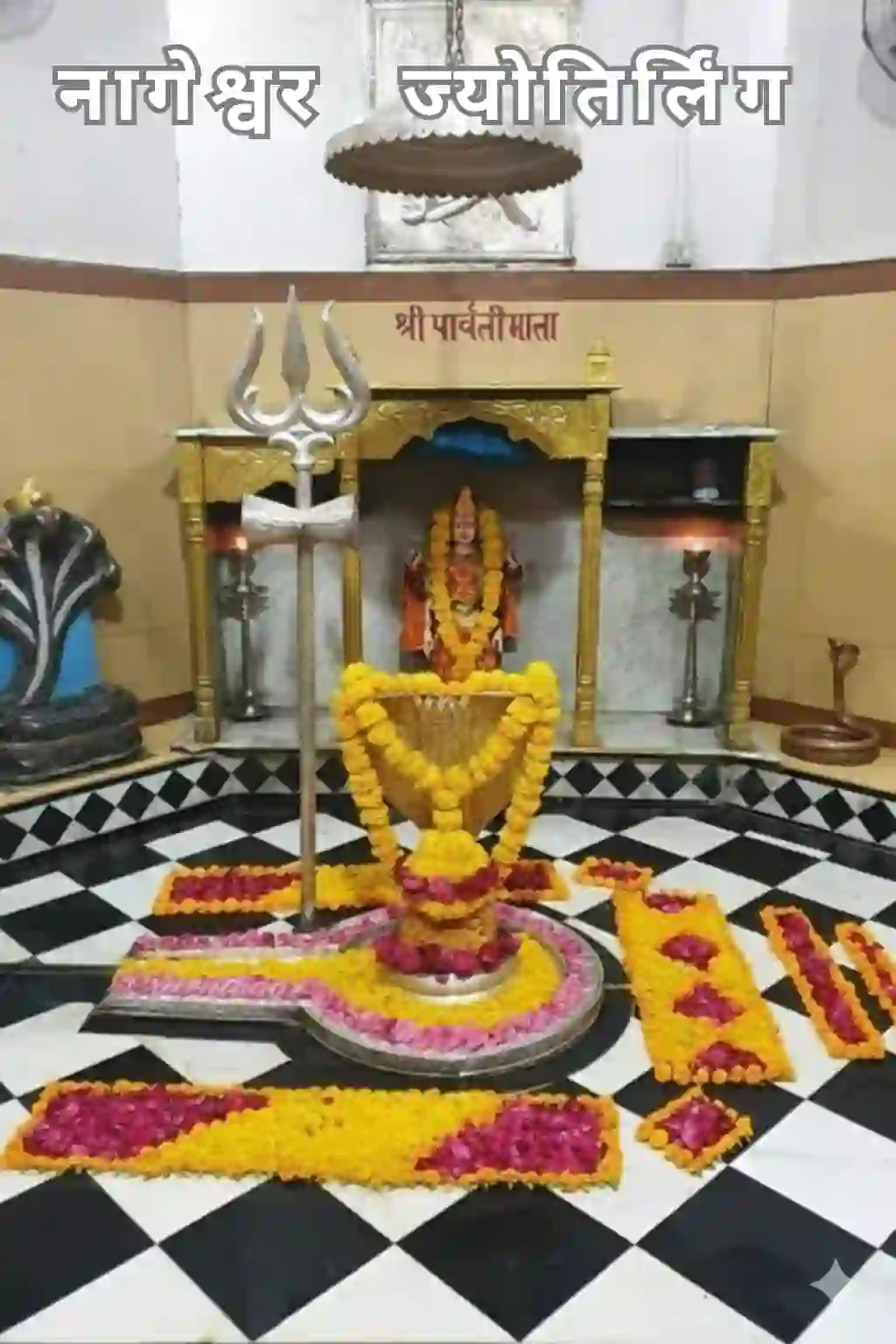 नागेश्वर ज्योतिर्लिंग 